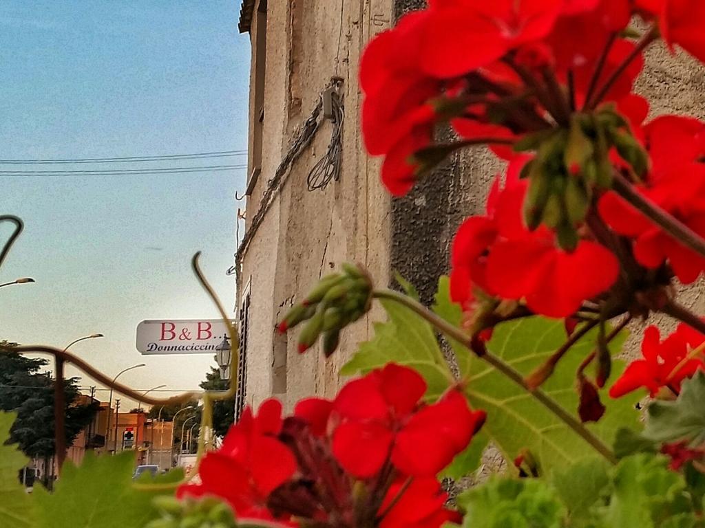 Bed and Breakfast Donnaciccinatrapani Rilievo Zewnętrze zdjęcie